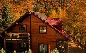 Old Mark'S House Sinaia
